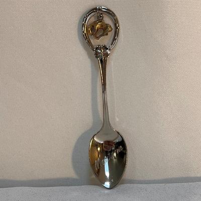 Sterling & Nickel Silver Collectible Spoons and More (P-DZ)
