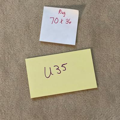 U35-Pair of Rugs
