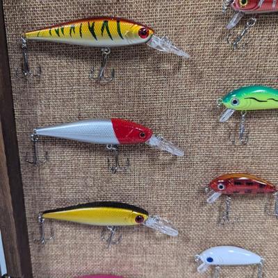 Fishing Lure Shadow Box