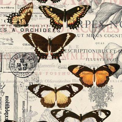 Dixie Belle Decoupage papers Belles Whistles butterflies