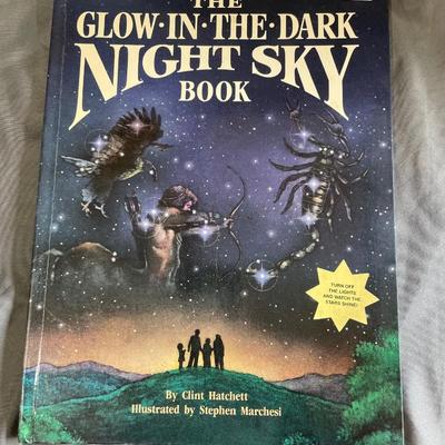 Night Sky glow in the dark book