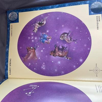 Night Sky glow in the dark book