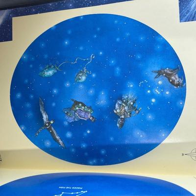 Night Sky glow in the dark book