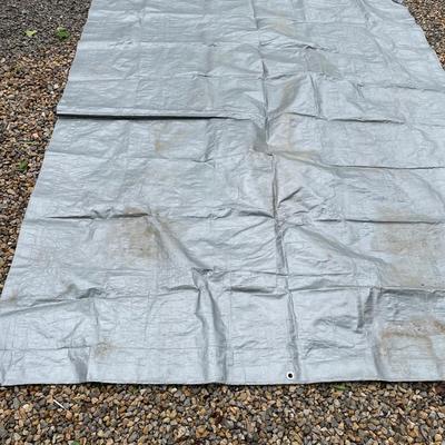 Tarp*