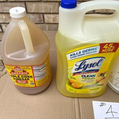 White Vinegar, Apple Cider Vinegar, Lysol & De-Icer (4)