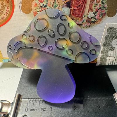 Multi colored mushroom