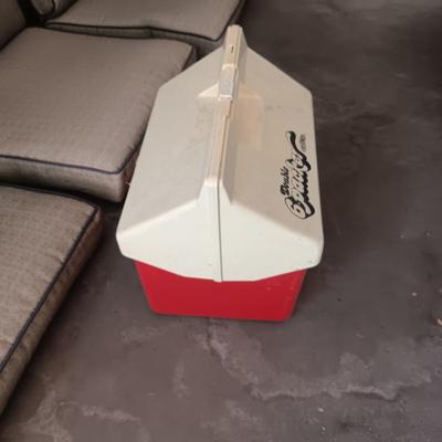 3 PATIO CHAIR CUSHIONS AND A COOLER