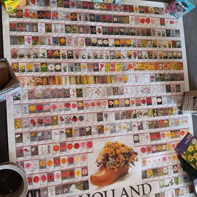 HUGE POSTER IDENTIFYING FLOWERS, FLOWER BULBS AND MORE