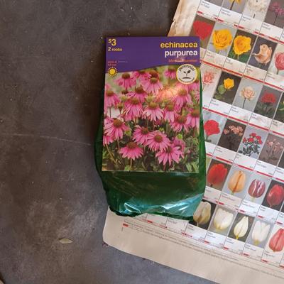 HUGE POSTER IDENTIFYING FLOWERS, FLOWER BULBS AND MORE