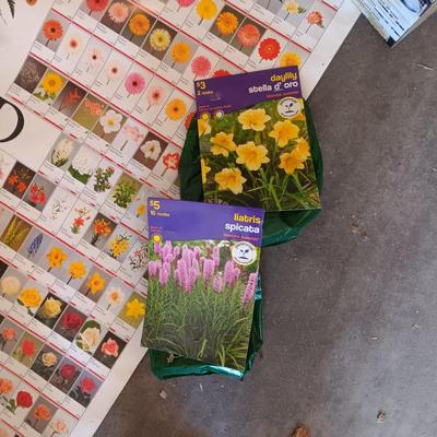 HUGE POSTER IDENTIFYING FLOWERS, FLOWER BULBS AND MORE