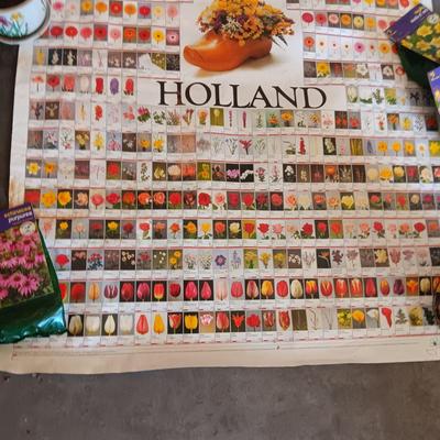 HUGE POSTER IDENTIFYING FLOWERS, FLOWER BULBS AND MORE