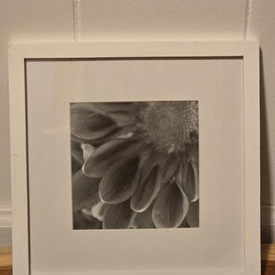 Black & White Framed Print