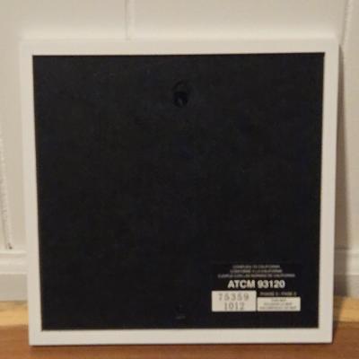 Black & White Framed Print