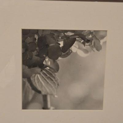 Black & White Framed Print