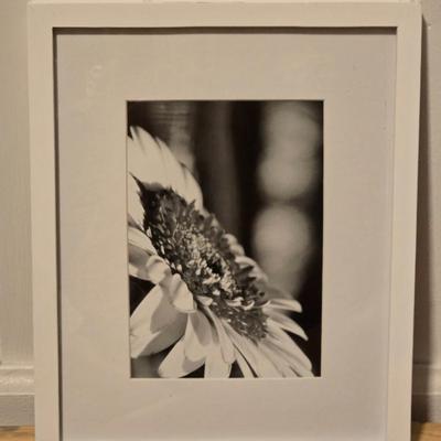 Black & White Framed Print