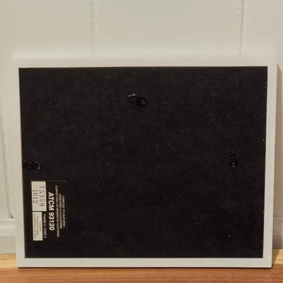 Black & White Framed Print