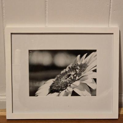 Black & White Framed Print