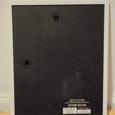 Black & White Framed Print