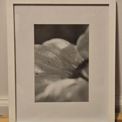 Black & White Framed Print