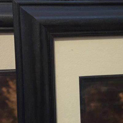 (2) Black Photo Frames Lot