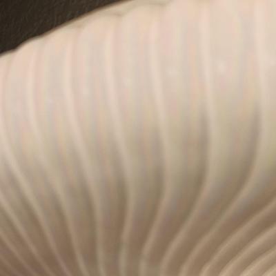 Torchiere Floor lamp with beautiful Opalescent white glass shade