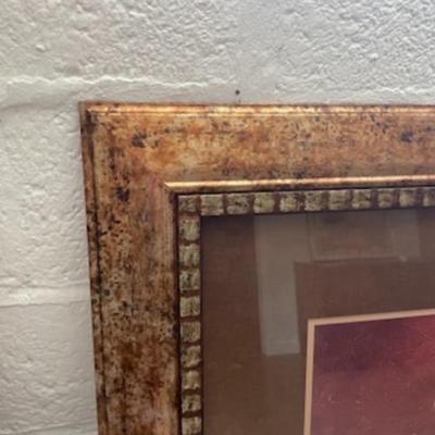 Pair of Flower prints in Golden Foil Frame . BY Pamela Gladding
