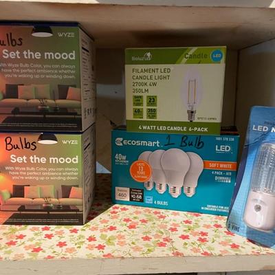 Lot of Assorted Light Bulbs