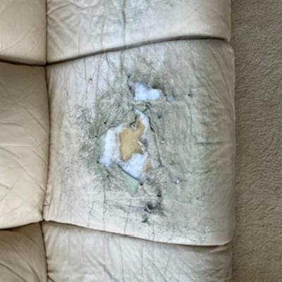 Cream Leather Couch