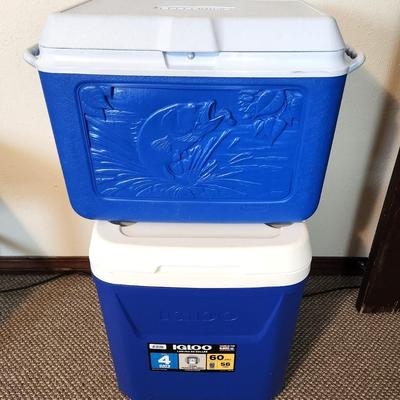 Lot #112 Lot of 2 Good Ice Chests - Igloo and Rubbermaid