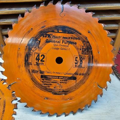 Miter and Table Saw Blades & Holder (WS-JS)