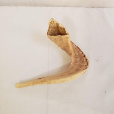 Shofar Horn (LR-KD)