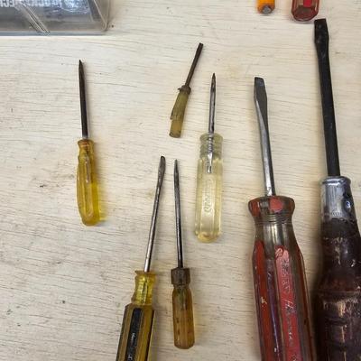 Assorted Phillips & Flathead Screwdrivers & More (WS-JS)