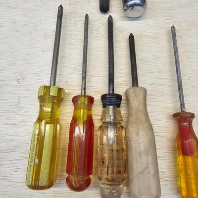 Assorted Phillips & Flathead Screwdrivers & More (WS-JS)