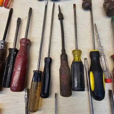Assorted Phillips & Flathead Screwdrivers & More (WS-JS)