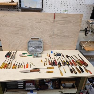 Assorted Phillips & Flathead Screwdrivers & More (WS-JS)