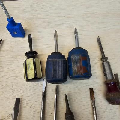 Assorted Phillips & Flathead Screwdrivers & More (WS-JS)