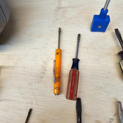 Assorted Phillips & Flathead Screwdrivers & More (WS-JS)
