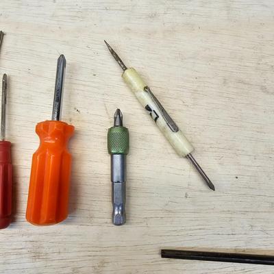 Assorted Phillips & Flathead Screwdrivers & More (WS-JS)