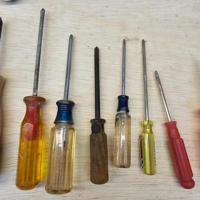 Assorted Phillips & Flathead Screwdrivers & More (WS-JS)