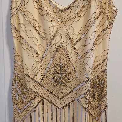 Sequin & Fringe Flapper Style Dress