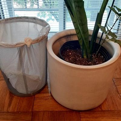 Ceramic Planter and Plant Lot