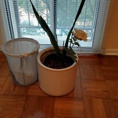 Ceramic Planter and Plant Lot