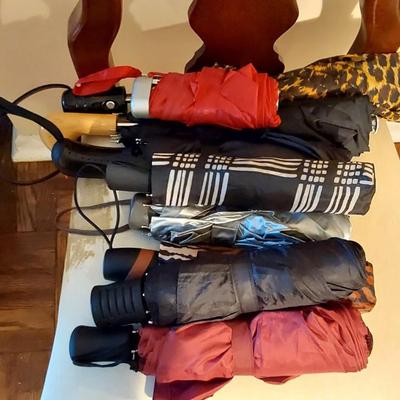 Small Umbrella Lot