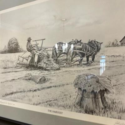 The Harvest by John Beninghof
