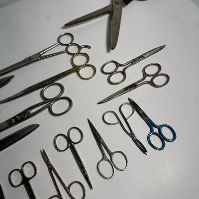 Scissors Lot.