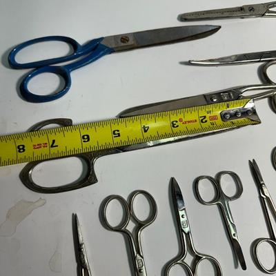 Scissors Lot.
