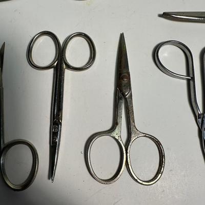 Scissors Lot.