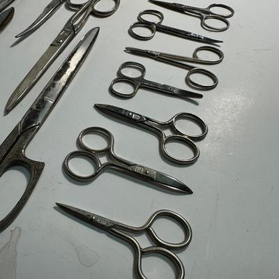 Scissors Lot.