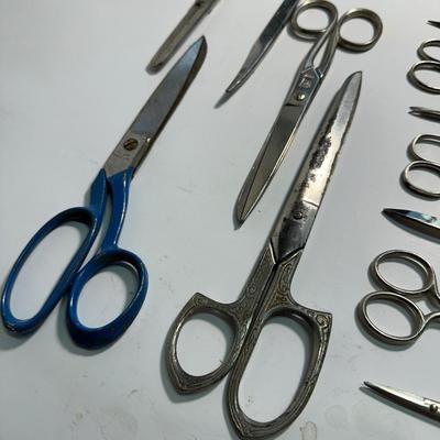 Scissors Lot.
