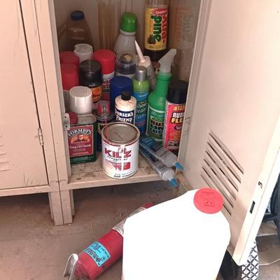 MOSTLY HOUSEHOLD CHEMICALS AND CANS OF SPRAY PAINT